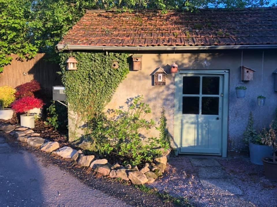 Gite Le Domaine D Orphee Marmagne  Экстерьер фото